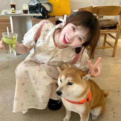 在我的梦中